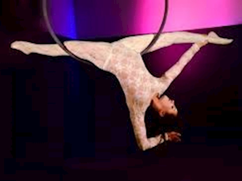 Aerial Hoop.jpg