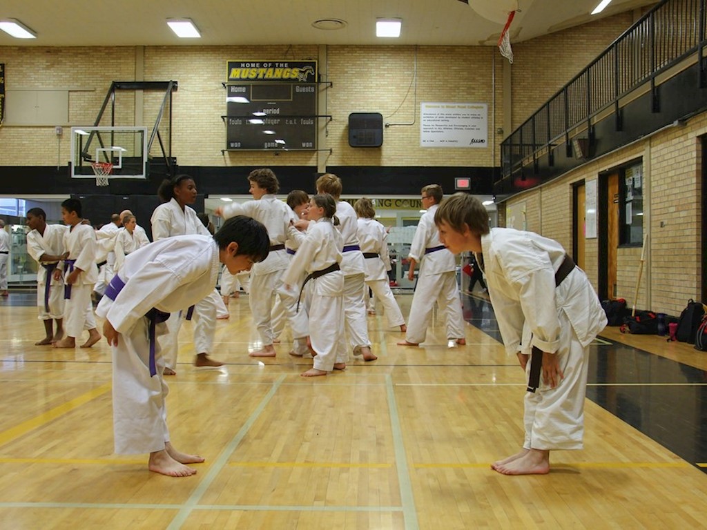 Shotokan.jpg