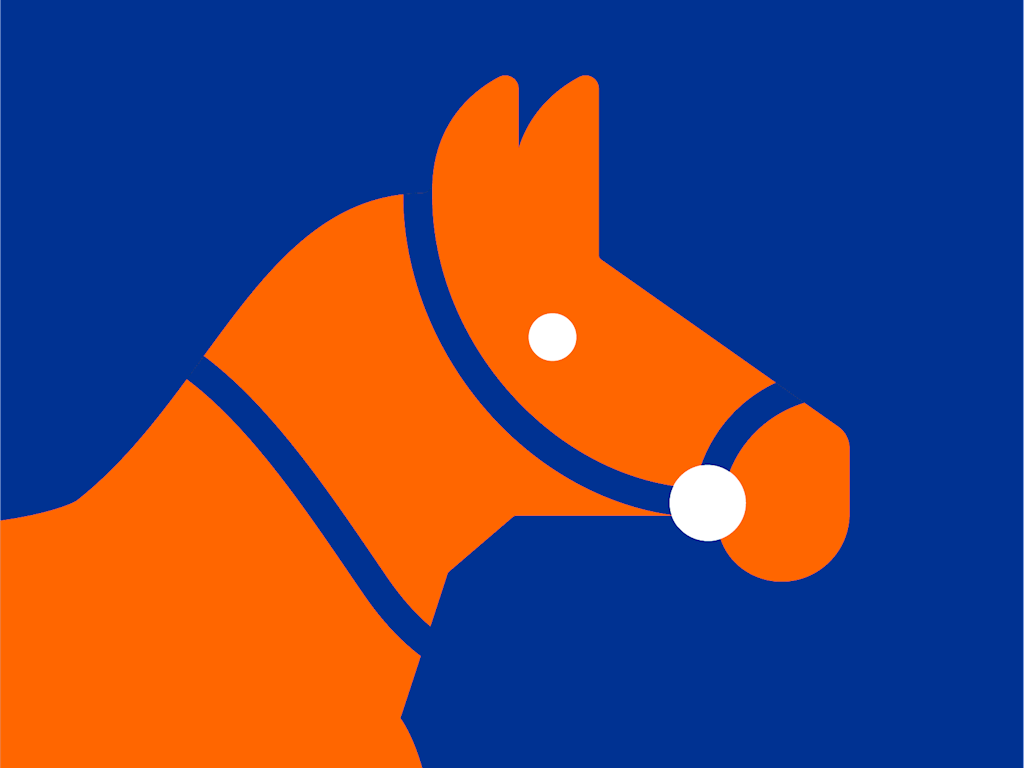 NOC_NSF_Illustraties_RGB__Paardensport.png