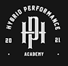 Hybrid Performance