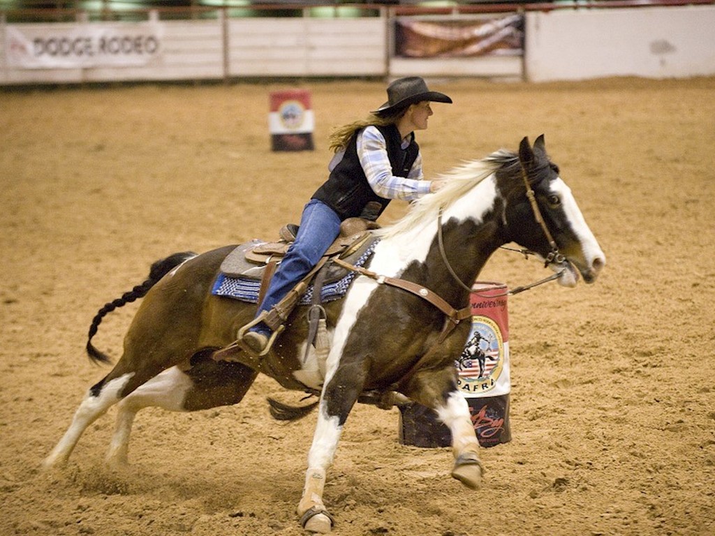 Reining paardensport.jpg