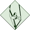 Aerials Gym
