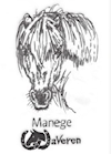 Manege Stichting Waveren
