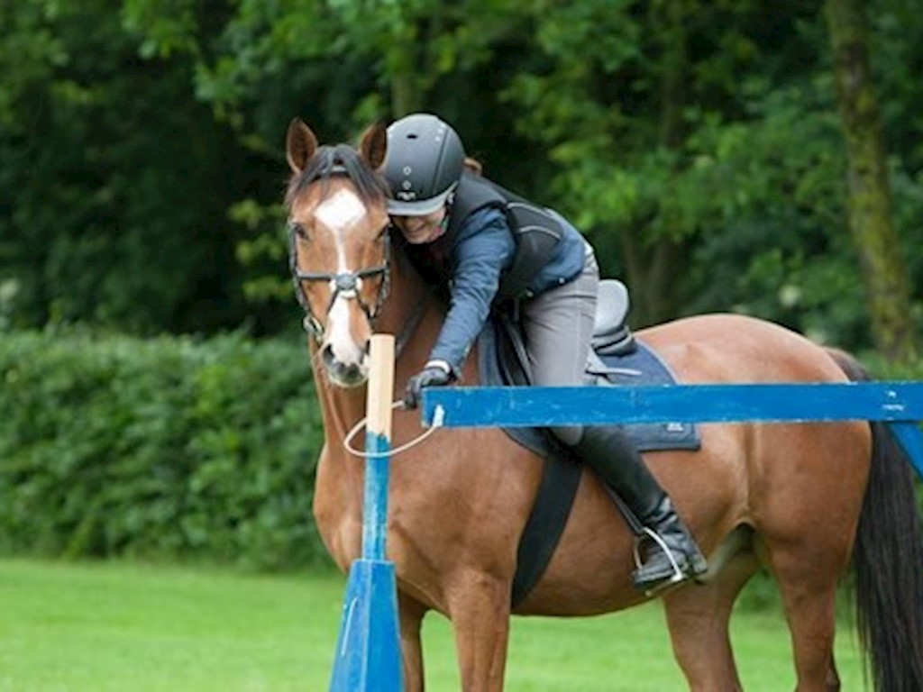 TREC paardensport.jpg